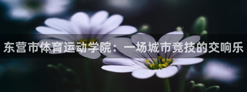 关键词：东营市体育运动学院：一场城市竞技的交响乐