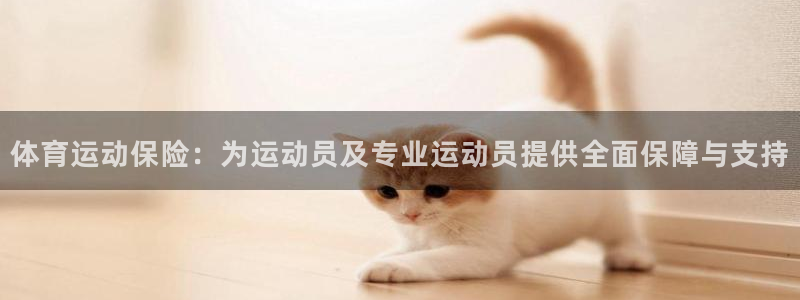 关键词：体育运动保险：为运动员及专业运动员提供全面保障与支持